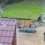 Consilier local reținut de polițiști după ce a bătut un consătean. La bătaie a participat și soția consilierului