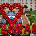 Florall – Festivalul Artei Florale revine în Grădina Palas. Peste 23 de instalații din flori naturale, teatru, concerte și surprize pentru întreaga familie   